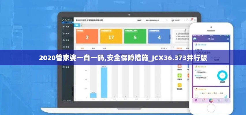 2020管家婆一肖一码,安全保障措施_JCX36.373并行版