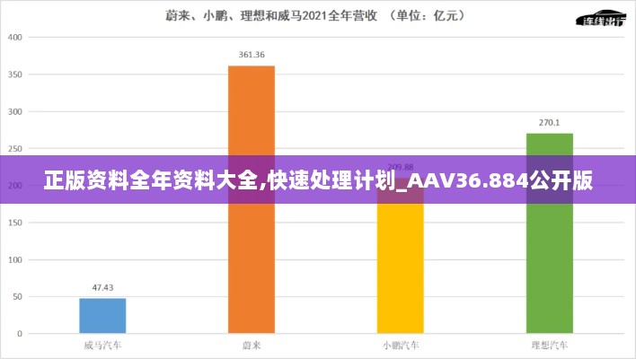 正版资料全年资料大全,快速处理计划_AAV36.884公开版