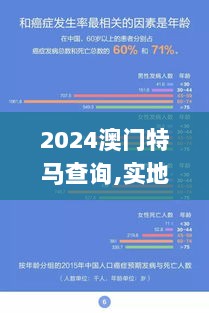 2024澳门特马查询,实地数据评估分析_MMN36.177加速版