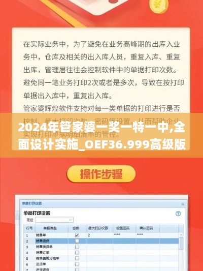 2024年管家婆一奖一特一中,全面设计实施_OEF36.999高级版