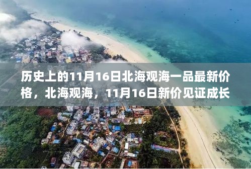 11月16日北海观海一品新价格见证成长之路