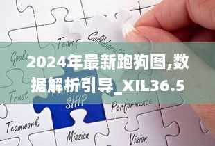 2024年最新跑狗图,数据解析引导_XIL36.558效率版