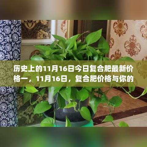 11月16日历史上的复合肥价格波动与个人成长之路，自信与成就的鼓舞