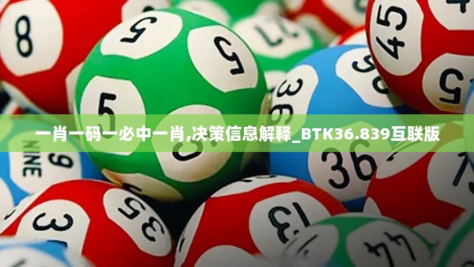 一肖一码一必中一肖,决策信息解释_BTK36.839互联版