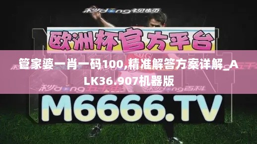 管家婆一肖一码100,精准解答方案详解_ALK36.907机器版