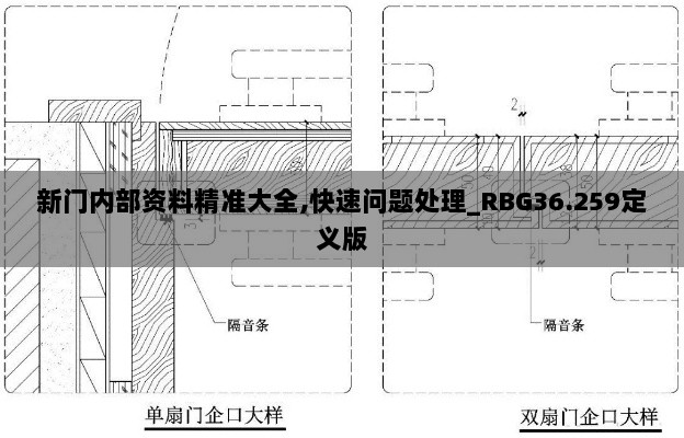 新门内部资料精准大全,快速问题处理_RBG36.259定义版