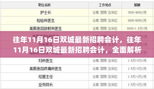 往年11月16日双城最新招聘会计的全面解析与体验报告