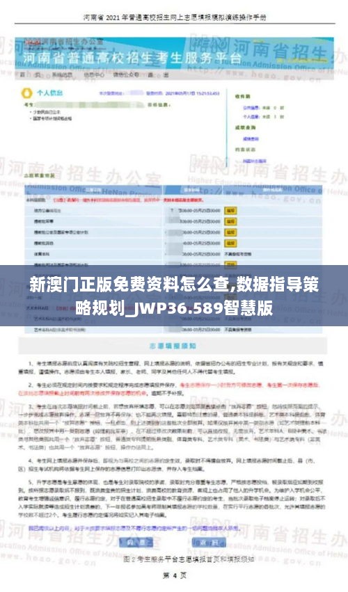 新澳门正版免费资料怎么查,数据指导策略规划_JWP36.589智慧版