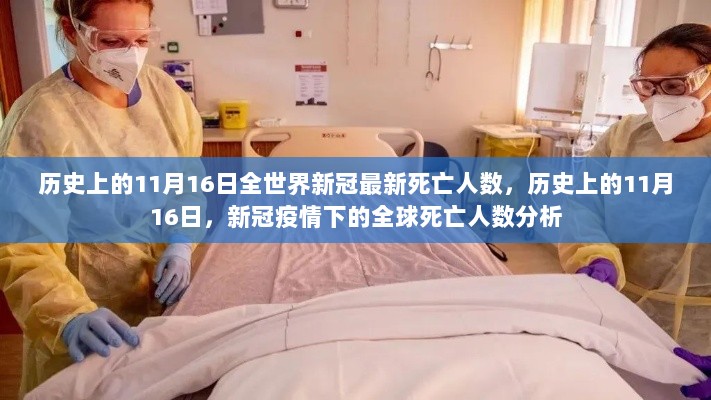 历史上的11月16日全球新冠疫情死亡人数分析