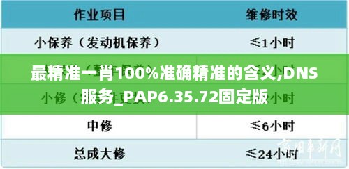 最精准一肖100%准确精准的含义,DNS服务_PAP6.35.72固定版