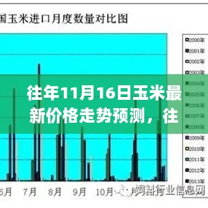 11月16日玉米价格走势深度解析与未来预测展望