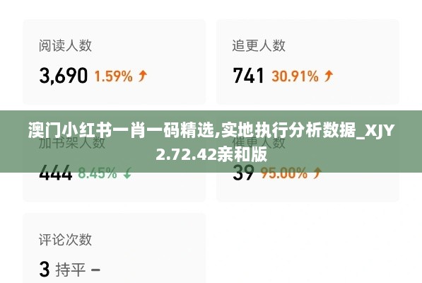 澳门小红书一肖一码精选,实地执行分析数据_XJY2.72.42亲和版