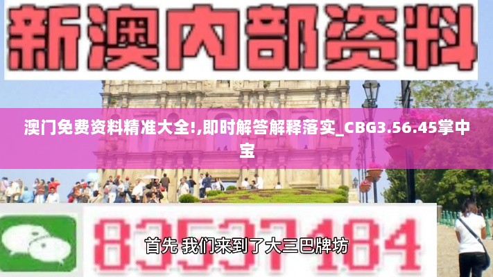 澳门免费资料精准大全!,即时解答解释落实_CBG3.56.45掌中宝