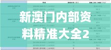 新澳门内部资料精准大全2024,高效管理优化策略_DUZ7.35.68驱动版