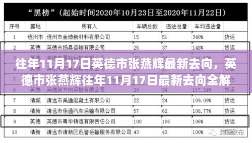 英德市张燕辉往年11月17日最新去向全解析与实用技巧