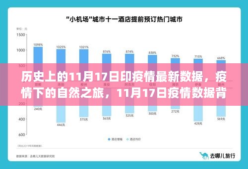 11月17日历史疫情数据背后的宁静与希望，疫情下的自然之旅