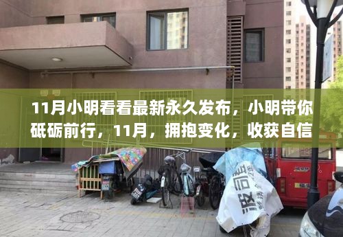 小明引领砥砺前行，11月拥抱变化，收获自信与成就的永久之旅