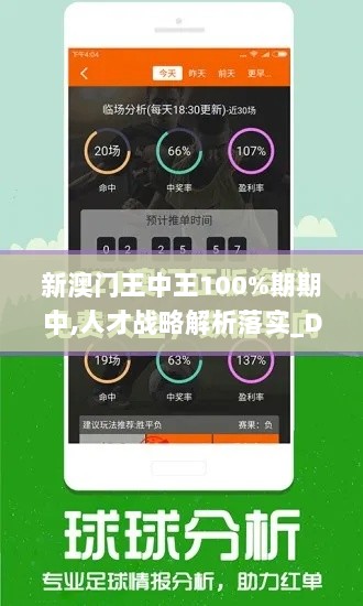 新澳门王中王100%期期中,人才战略解析落实_DCF5.10.88模块版