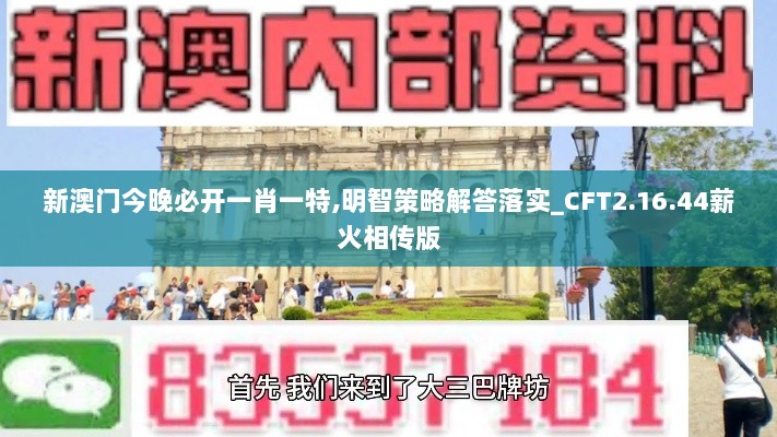 新澳门今晚必开一肖一特,明智策略解答落实_CFT2.16.44薪火相传版