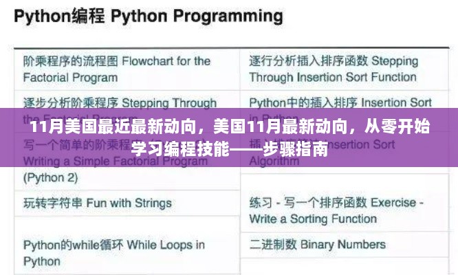 11月美国最新动向，从零开始学习编程技能的步骤指南