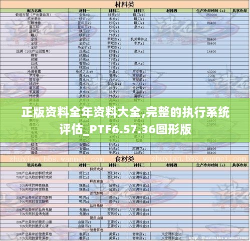 正版资料全年资料大全,完整的执行系统评估_PTF6.57.36图形版