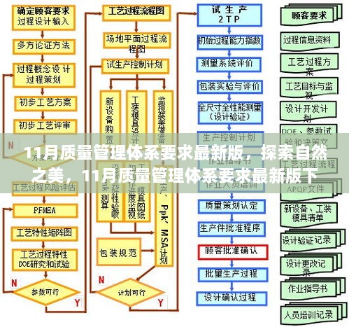 11月质量管理体系要求最新版下的心灵探索之旅，探索自然之美与质量管理的和谐共融