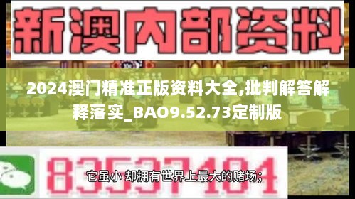 2024澳门精准正版资料大全,批判解答解释落实_BAO9.52.73定制版