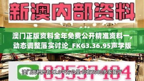 澳门正版资料全年免费公开精准资料一,动态调整落实讨论_FKG3.36.95声学版