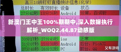 新澳门王中王100%期期中,深入数据执行解析_WOQ2.44.87动感版