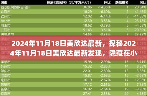 2024年11月18日美欣达最新探秘，隐藏在小巷的特色小店发现之旅