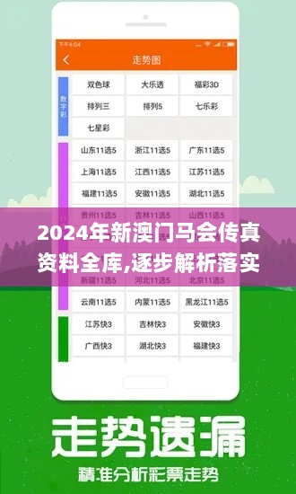 2024年新澳门马会传真资料全库,逐步解析落实过程_DSQ2.54.47自助版