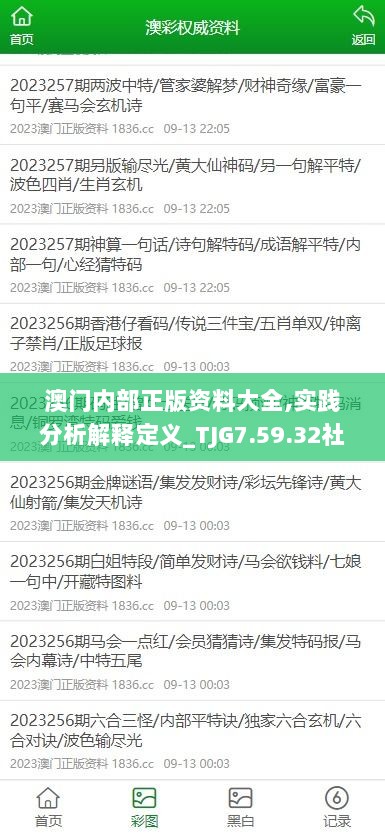 澳门内部正版资料大全,实践分析解释定义_TJG7.59.32社区版