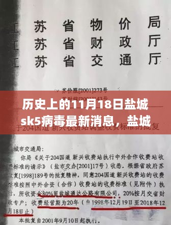 历史上的11月18日盐城SK5病毒与现代防控的深度思考