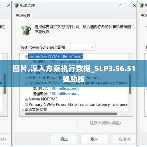 图片,深入方案执行数据_SLP3.56.51强劲版