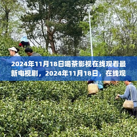 2024年11月18日，茶艺时光中的在线观看最新电视剧体验