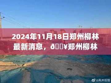 郑州柳林大揭秘，2024年11月18日最新动态热议