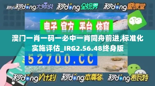 澳门一肖一码一必中一肖同舟前进,标准化实施评估_IRG2.56.48终身版