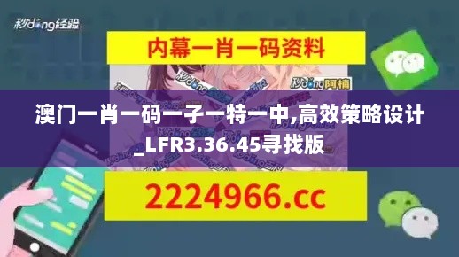 澳门一肖一码一孑一特一中,高效策略设计_LFR3.36.45寻找版