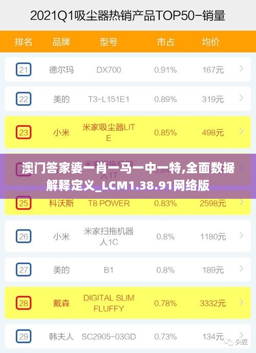 澳门答家婆一肖一马一中一特,全面数据解释定义_LCM1.38.91网络版