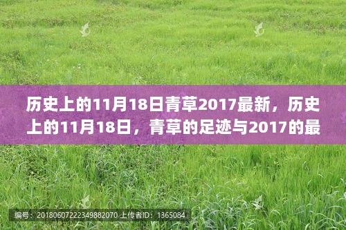 历史上的11月18日，青草足迹与2017最新发展回顾