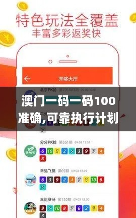 澳门一码一码100准确,可靠执行计划_XRA1.72.43极速版