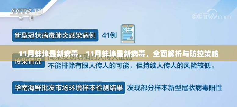 11月蚌埠最新病毒，全面解析与防控策略