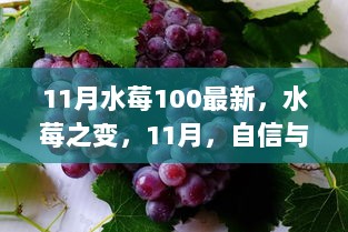 11月自信与成就的果实熟透，水莓的百倍丰收与蜕变