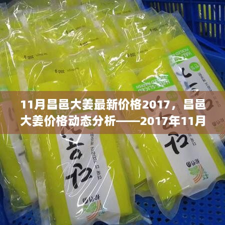 2017年11月昌邑大姜最新价格动态及市场观察展望