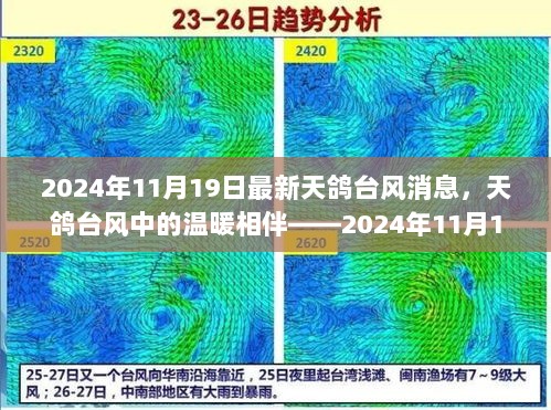 天鸽台风中的温暖相伴——2024年11月19日家庭小故事纪实