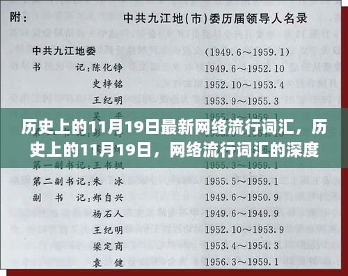 历史上的11月19日，网络流行词汇的深度解析与体验报告