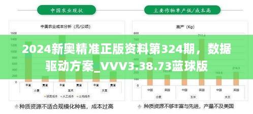 2024新奥精准正版资料第324期，数据驱动方案_VVV3.38.73蓝球版