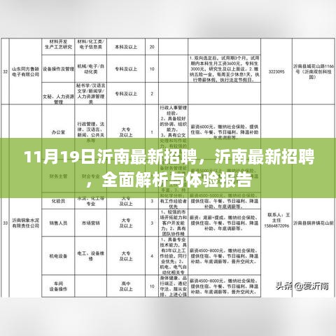 沂南最新招聘，全面解析与体验报告（11月19日版）