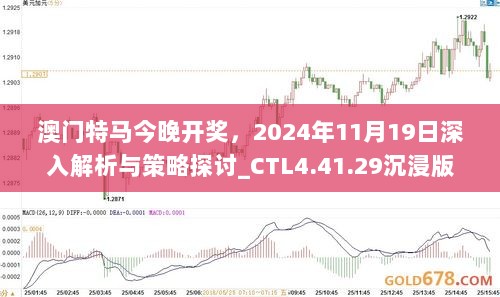 澳门特马今晚开奖，2024年11月19日深入解析与策略探讨_CTL4.41.29沉浸版