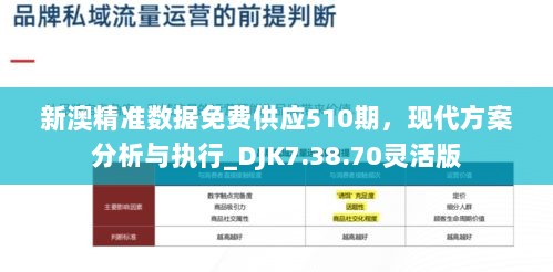 新澳精准数据免费供应510期，现代方案分析与执行_DJK7.38.70灵活版